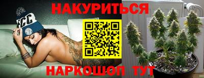 индика Аргун