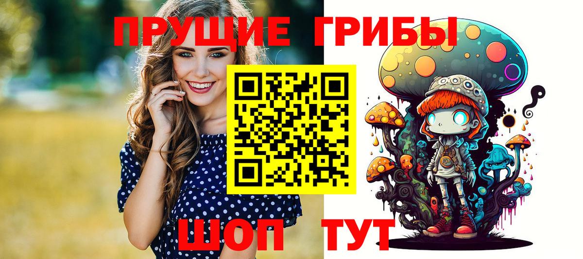 Галлюциногенные грибы Psilocybe Анапа